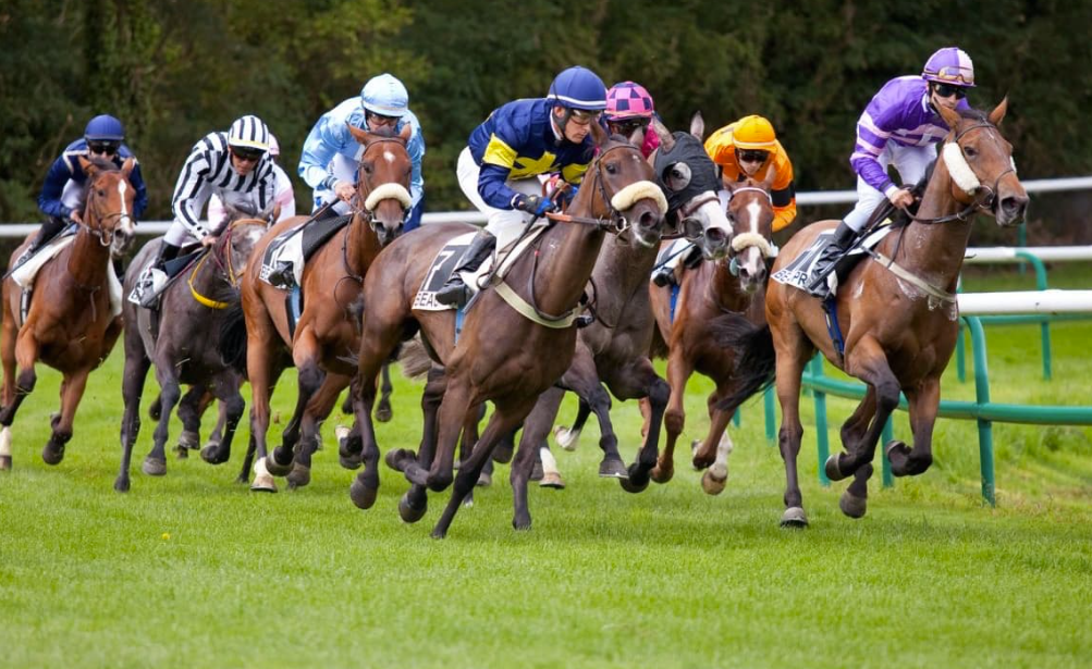 pronoturf || pronoturf gratuit || pronoturf vip || turfpronos || turfprono || turf prono